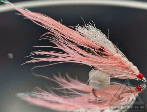 ARCTICFLIES Pattegrisen  #8